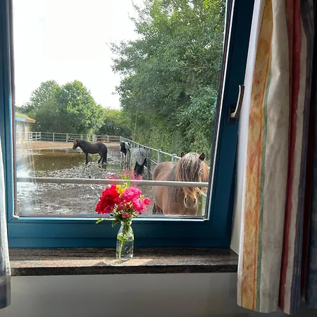 Isi-blick