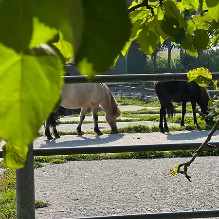 Isi-blick * Osterby (Rendsburg-Eckernforde)